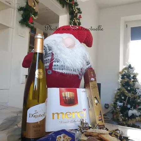 Coquette Maison, Cote Chateau A En Alsace 度假居 *