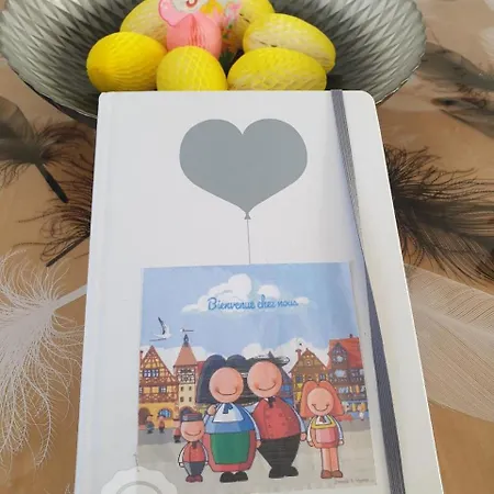 Coquette Maison, Cote Chateau A En Alsace 米齐格