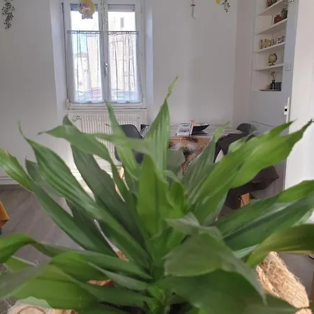 Coquette Maison, Cote Chateau A En Alsace Tatil Evi Mutzig