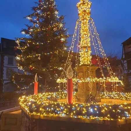 Coquette Maison, Cote Chateau A En Alsace 度假居 米齐格