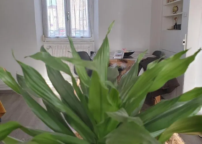 Coquette Maison, Cote Chateau A En Alsace Holiday home Mutzig